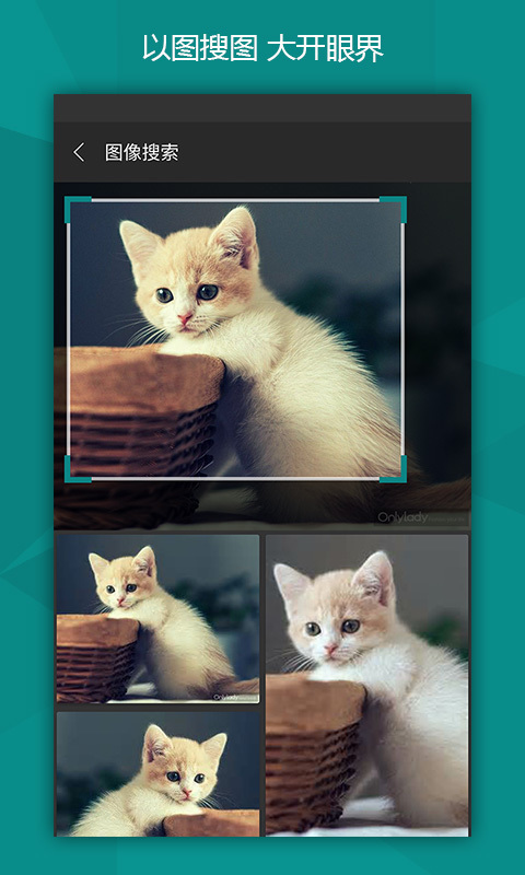 微軟必應(yīng)app