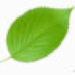 傳真軟件(UFax2) v2.1 官方免費(fèi)版 