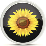 幼兒園財務信息管理系統(tǒng) v18.01.09 免費版 