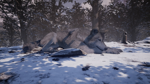 Nephise游戲下載 中文版圖2