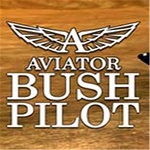 飛行員無(wú)人區(qū)任務(wù)下載 中文版 