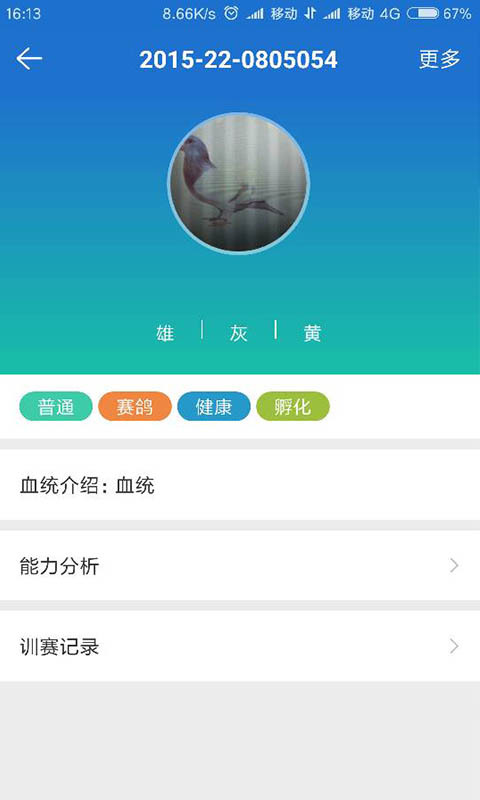 鴿羽林