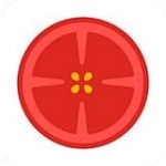 番茄出行 v1.3 安卓版 