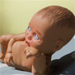 老媽模擬器游俠漢化補(bǔ)丁 V1.0 免費(fèi)版 