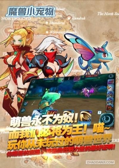 魔獸小寵物手游 v20.0.1100 安卓版圖3