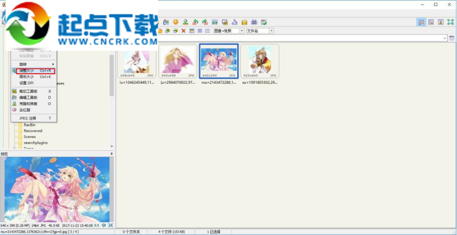 faststone image viewer