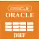 OracleToDbf(dbf導(dǎo)入oracle工具) v1.2 官方版 