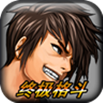 終極格斗安卓版 1.02 官方版 
