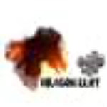 龍崖兩項修改器下載 免費版 