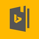 必應(yīng)詞典 v3.5.4.1 桌面版 