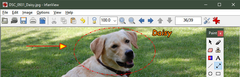IrfanView中文版下載