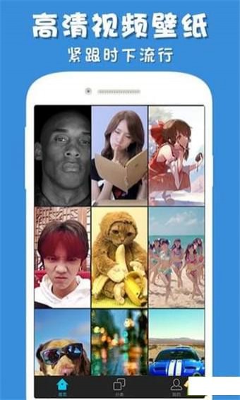 彩蛋視頻壁紙app