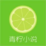 青檸小說 v1.0 安卓版 