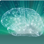 完整的記憶訓(xùn)練(Memory Training) v2.5 安卓版 