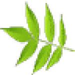 x2m decoder(x2m文件解密工具) v1.0.1 免費(fèi)版 