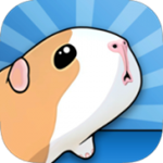 豚鼠和橋梁 v1.5.8 手游版 