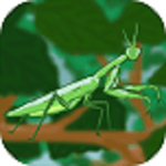 螳螂獵手 v1.0 手游版 
