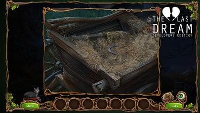 最后的夢(mèng)想