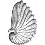 Argo Mac版 V1.0 免費(fèi)版 