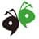 螞蟻工資條 v1.1.2 免費版 