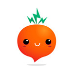 蘿卜買車app v1.5 蘋果版 