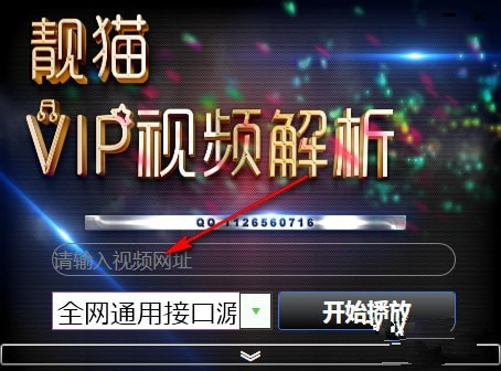 靚貓VIP視頻解析