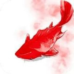 愛(ài)奇藝錦視app v0.22.2 安卓版 