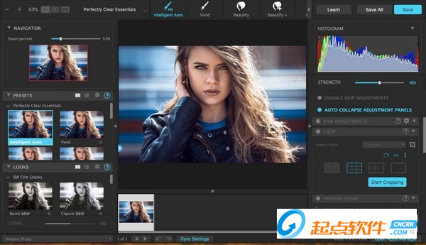 Perfectly Clear WorkBench