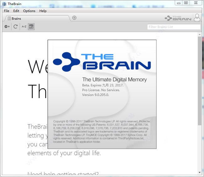 thebrain9破解版