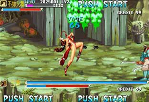 三國(guó)戰(zhàn)紀(jì)亂世拳皇2安卓版