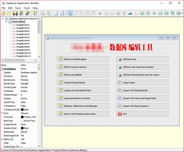 Database Application Builder破解版