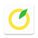 柚子單詞安卓版 v1.030 最新版 