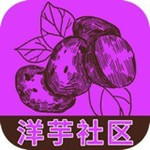 洋芋社區(qū)下載 V1.0 安卓版 
