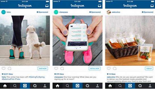 instagram電腦版下載 官方版圖1