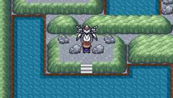 口袋妖怪口袋暴龍