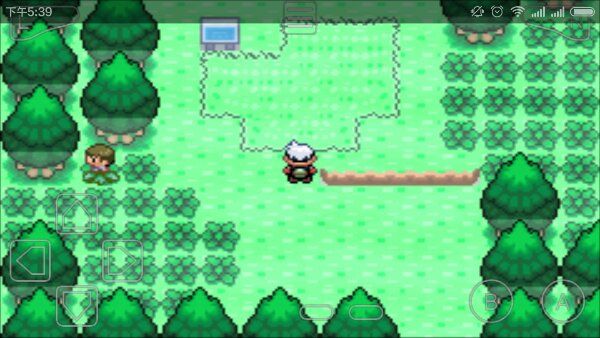 口袋妖怪神獸領域