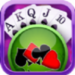 植物大戰(zhàn)僵尸花園戰(zhàn)爭(zhēng) V1.0.07