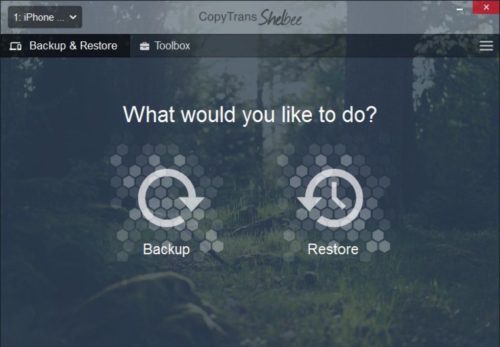 CopyTrans Shelbee下載
