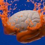 Realflow v10 中文版 