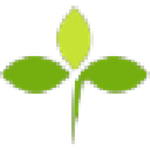 三葉草考試模擬系統(tǒng)官方下載 v2019.4 個人版 