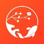 幸運錦鯉 v1.0.0 安卓版 