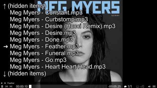 mpv.net下載(免費視頻播放器) v4.6.0 官方版圖2