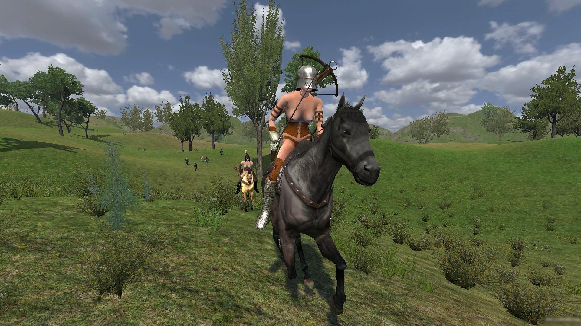 騎馬與砍殺戰(zhàn)團破解補丁1.172