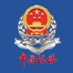 重慶國(guó)稅電子稅務(wù)局網(wǎng)上申報(bào)系統(tǒng) v1.0 官方版 