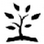 小筑筆記免付費(fèi)版 v1.00 PC破解版 