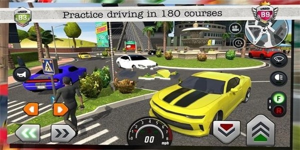 駕駛執(zhí)照課程