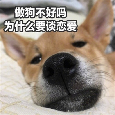 七夕情人節(jié)單身狗頭像大全下載