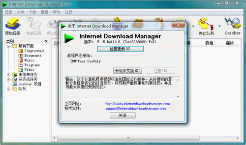 Internet Download Manager V6.07 Build 7 多國(guó)語(yǔ)言綠色特別版圖1
