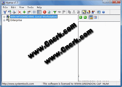 Hyena V7.7 英文綠色特別版圖1