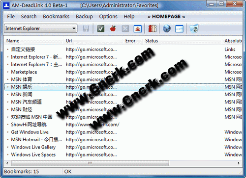 AM-DeadLink V3.3 Final 英文綠色免費版圖1
